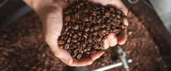El Punto del Tostado: El Arte que Define la Taza