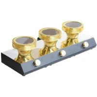 220V/110V Halogen 